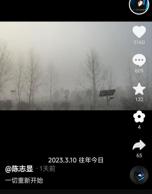 陈志显最新爆料新闻,揭秘事件背后惊人真相